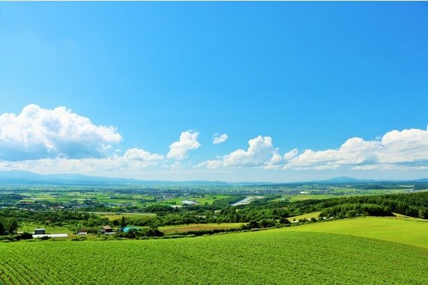 北海道エリアでGWに開催される花火大会を紹介
