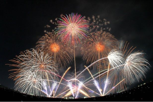 色鮮やかな大輪が連続して咲く豪華な構成 / 桜島と芸術花火2026 画像提供：桜島と芸術花火開催委員会事務局