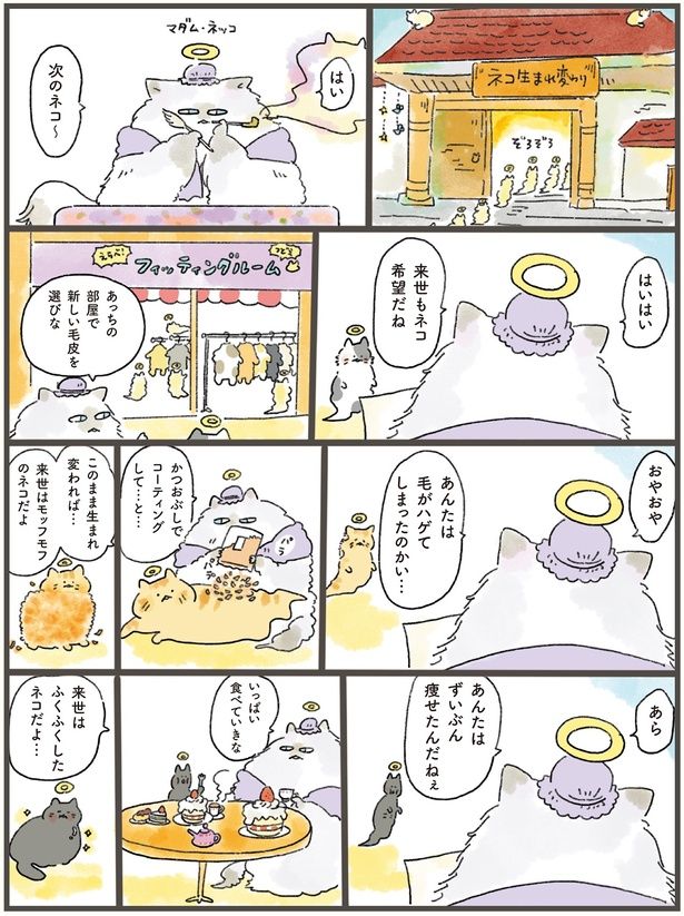 はい次のネコ～ （C）中山有香里／KADOKAWA