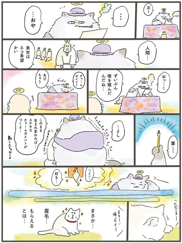 ずいぶん徳を積んだんだね… （C）中山有香里／KADOKAWA