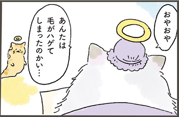 あんたは毛がハゲてしまったのかい… （C）中山有香里／KADOKAWA