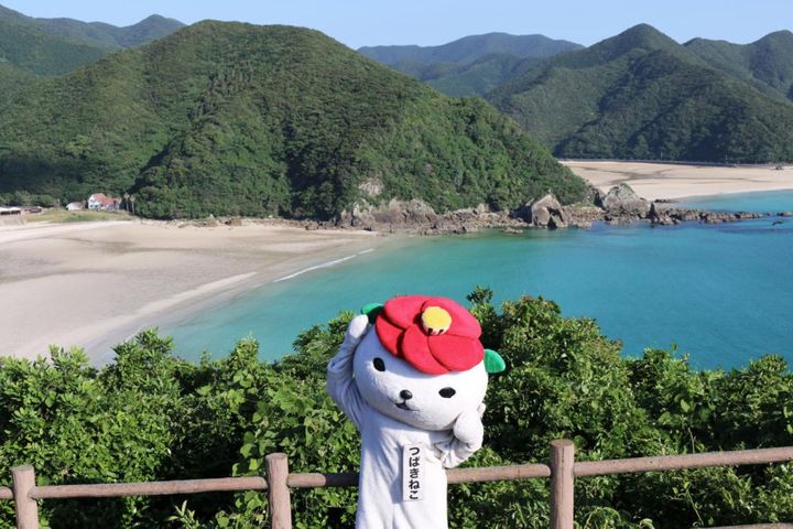 五島市の人気キャラクターつばきねこ