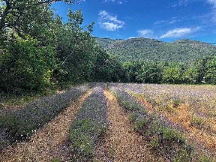 南仏リュベロンの自然が広がる風景