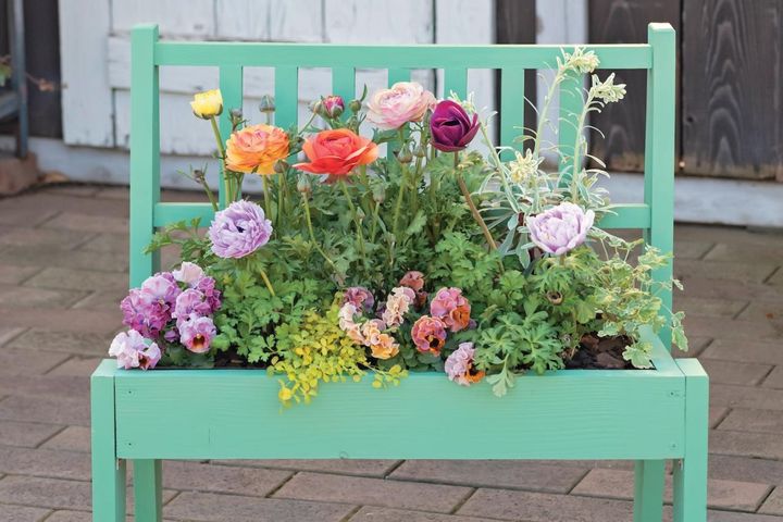 フローラ黒田園芸【黒田健太郎さん】が伝授！ カラフルな「ラナンキュラス×アネモネ」の寄せ植え