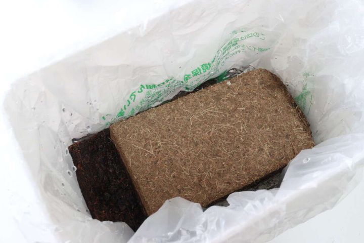 ダイソー 水で増える園芸土 Coco Brick 水で戻す