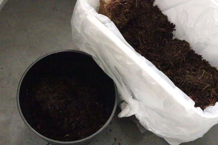 ダイソー 水で増える園芸土 Coco Brick 廃棄