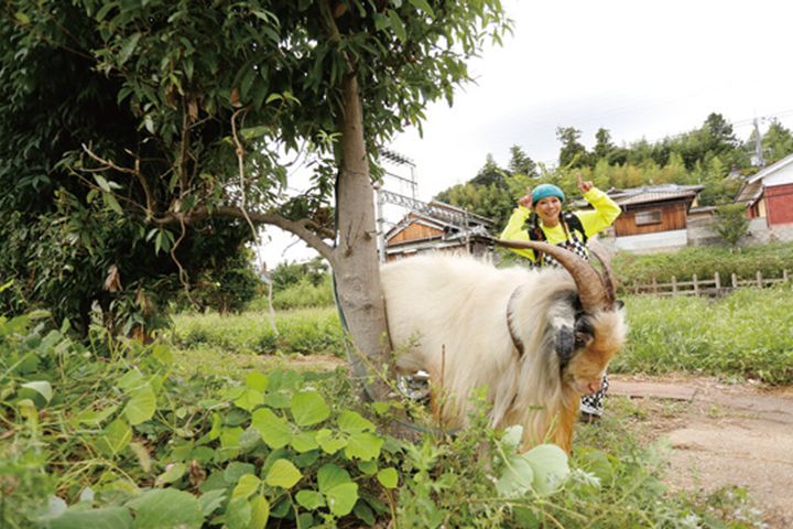 昭和のDAXで飛鳥時代へ!? 棚田に現れた“巨大ミャクミャク”の正体とは