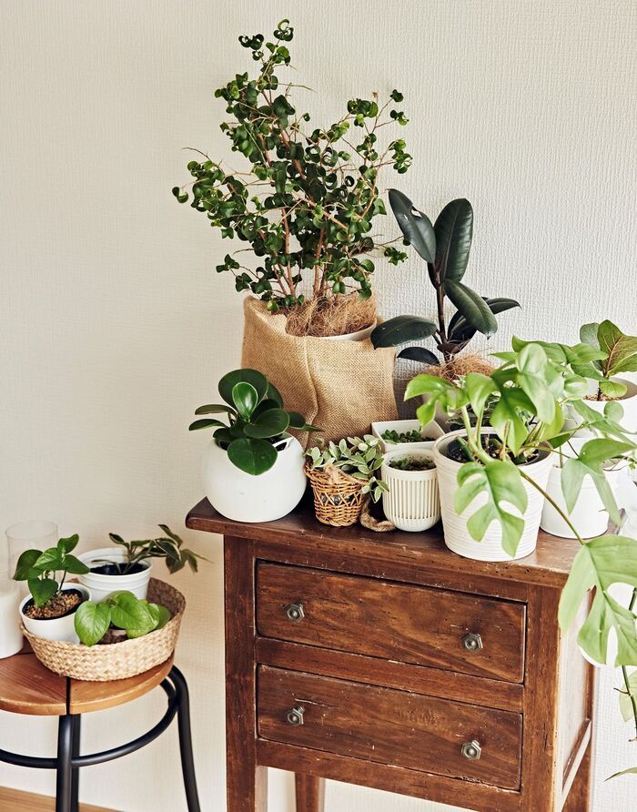 【51歳の一人暮らし】は軽トラック2台分の処分からスタート。好きなものを厳選して自分らしい住まいに