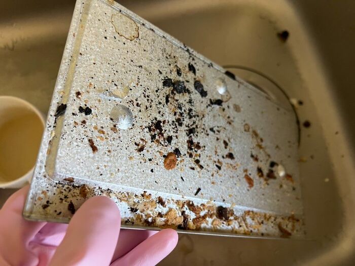 4年間放置していた「トースター」をピッカピカに復活させる方法。塗って→放置するだけです！