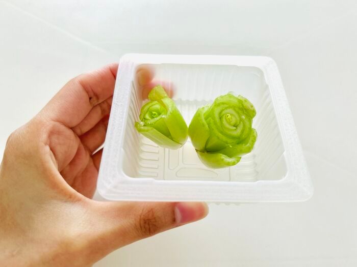 豆苗だけじゃない！簡単に『リボベジ』できる意外な野菜3選。おうちで収穫して家計節約に♪