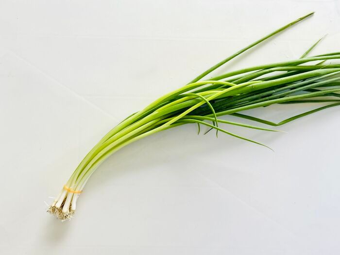 豆苗だけじゃない！簡単に『リボベジ』できる意外な野菜3選。おうちで収穫して家計節約に♪