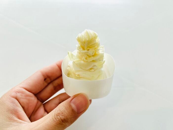 豆苗だけじゃない！簡単に『リボベジ』できる意外な野菜3選。おうちで収穫して家計節約に♪