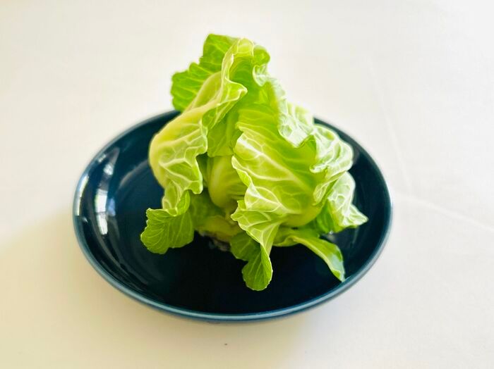 豆苗だけじゃない！簡単に『リボベジ』できる意外な野菜3選。おうちで収穫して家計節約に♪