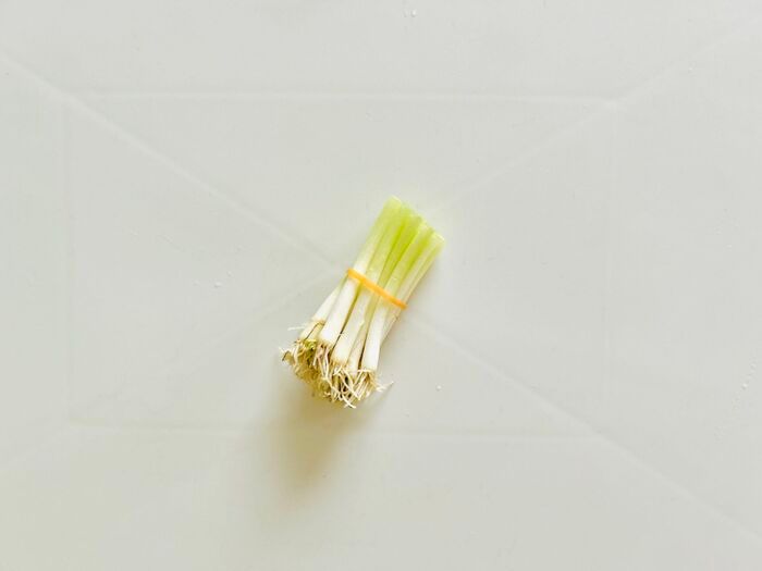 豆苗だけじゃない！簡単に『リボベジ』できる意外な野菜3選。おうちで収穫して家計節約に♪