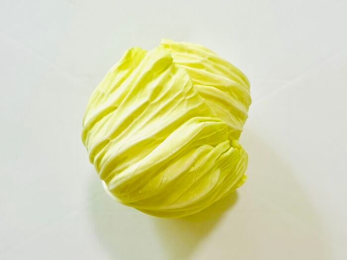 豆苗だけじゃない！簡単に『リボベジ』できる意外な野菜3選。おうちで収穫して家計節約に♪