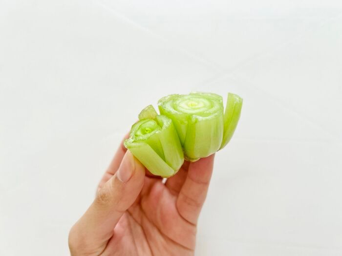 豆苗だけじゃない！簡単に『リボベジ』できる意外な野菜3選。おうちで収穫して家計節約に♪