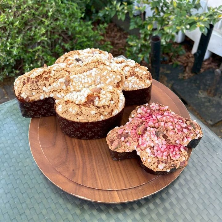 プリンチ コロンバ