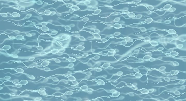 毎秒1000個の精子工場をどう止めるか