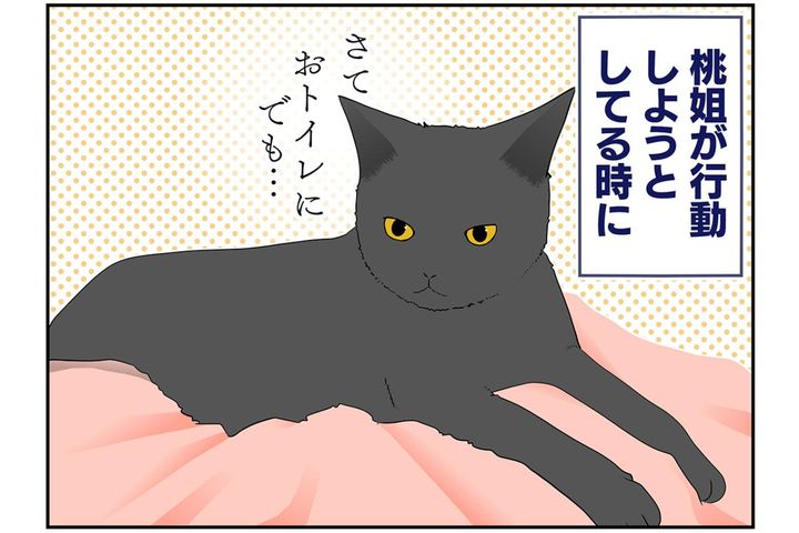 【マンガ・老猫日誌＃44】老猫が行動しようとしている時の配慮事項。19歳の元保護猫・桃姐