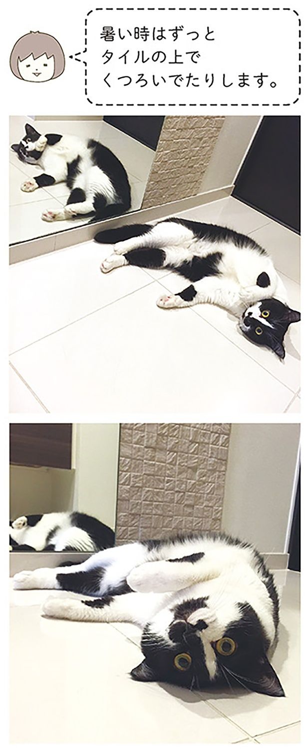 暑い時はずっとタイルの上でくつろいでたりします （C）卵山玉子／KADOKAWA