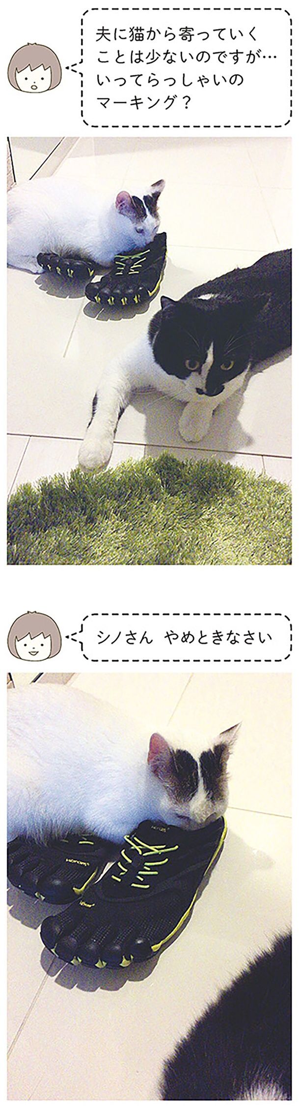 いってらっしゃいのマーキング？ （C）卵山玉子／KADOKAWA