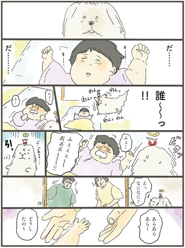 えっなになに？ （C）中山有香里／KADOKAWA