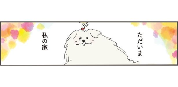 ただいま私の家 （C）中山有香里／KADOKAWA