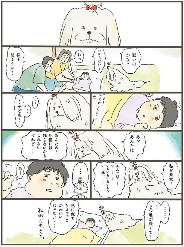 あんたの…記憶には残らないかもしれないけれど……私が長女！ （C）中山有香里／KADOKAWA