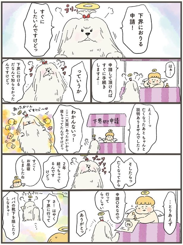 下界に行けるだなんて知らなかったんですけどっ （C）中山有香里／KADOKAWA