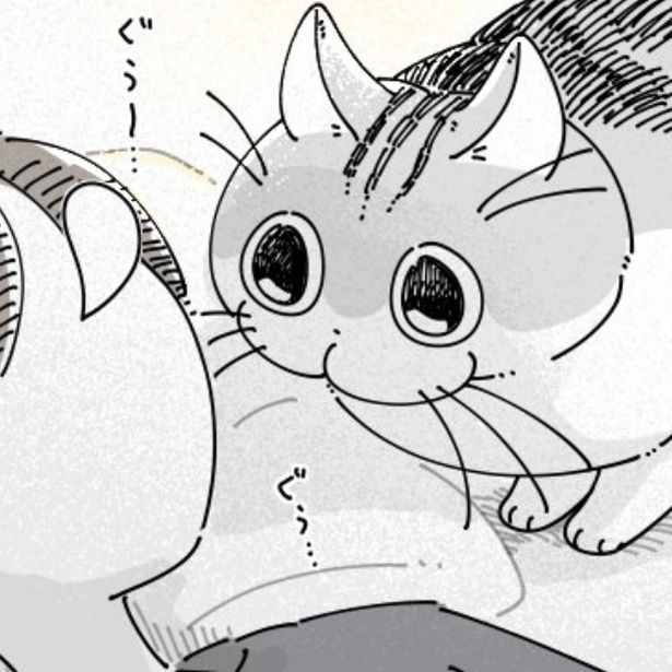 飼い主を起こそうとする猫 画像提供：キュルZ@kyuryuZ