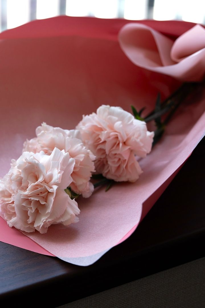 カーネーション一輪