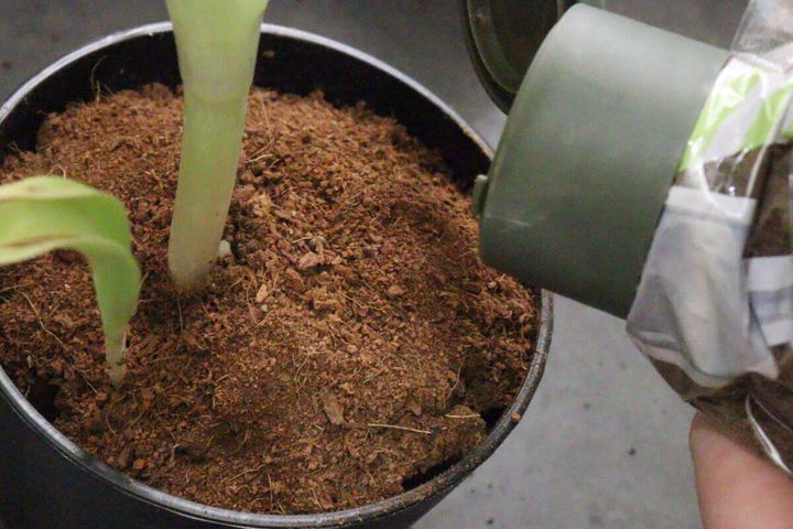 セリアの園芸用土の袋用注ぎ口キャップの使用例