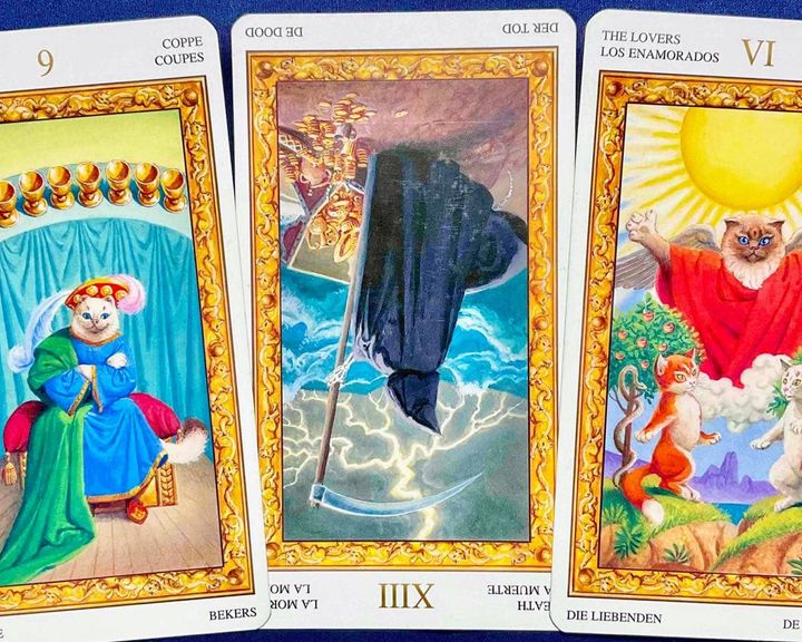 【魚座】2026年4月20日〜4月26日運勢