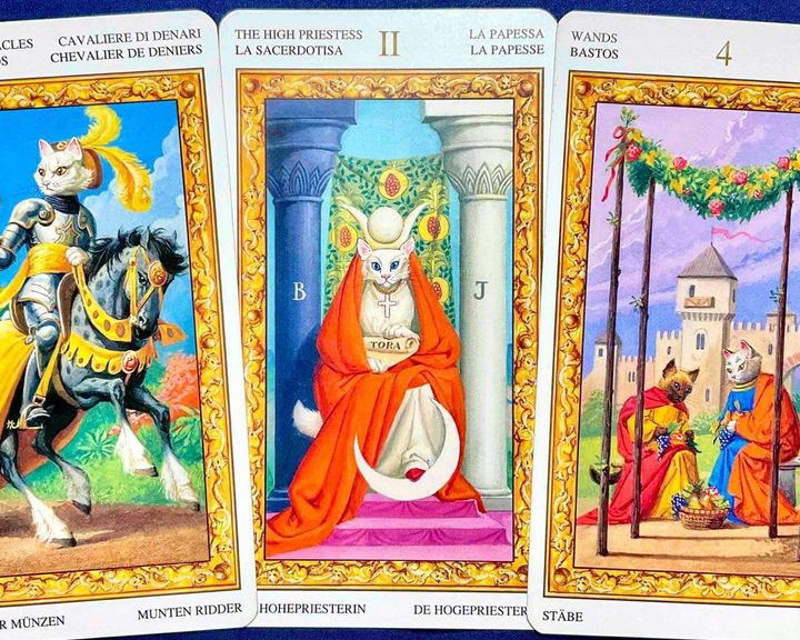 【獅子座】2026年4月20日〜4月26日運勢