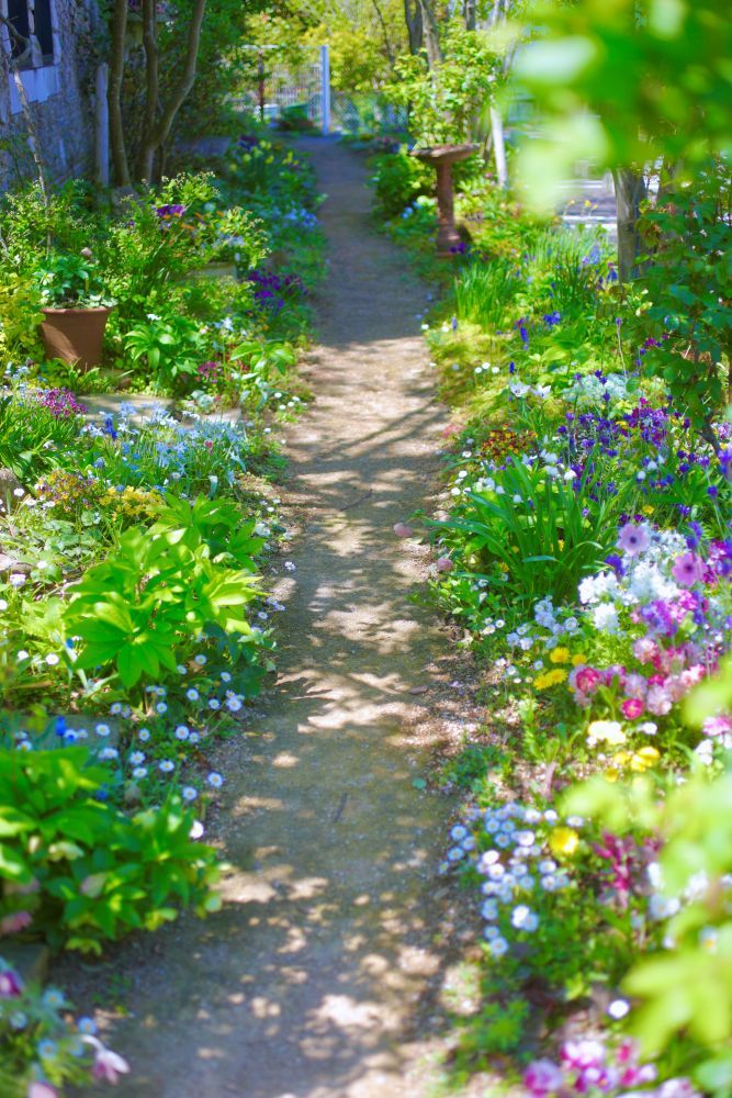 木漏れ日の小道