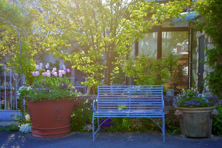 ウワミズザクラとベンチ