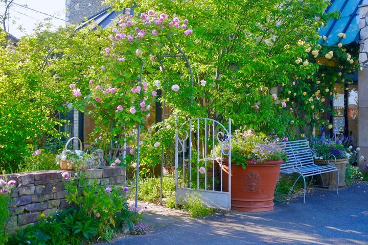 ウワミズザクラ