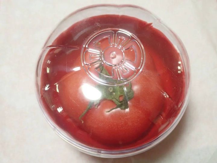 DAISO(ダイソー)：野菜保存容器(トマト型)