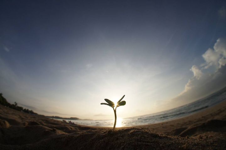 運を引きよせるアクション