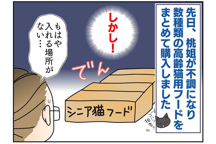 【マンガ・老猫日誌＃45】いつかくる別れを考える〜19歳の元保護猫・桃姐