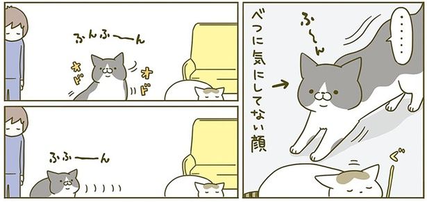 べつに気にしてない顔 （C）卵山玉子／KADOKAWA