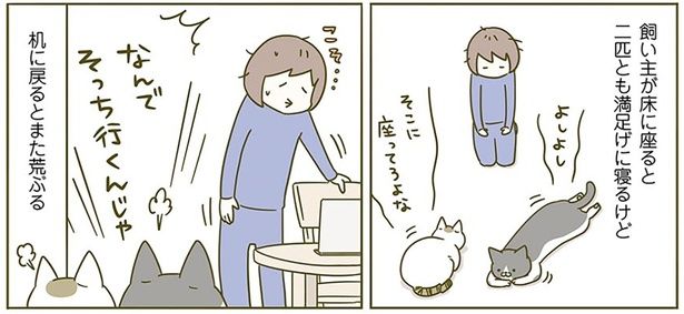 床に座ると満足げ （C）卵山玉子／KADOKAWA