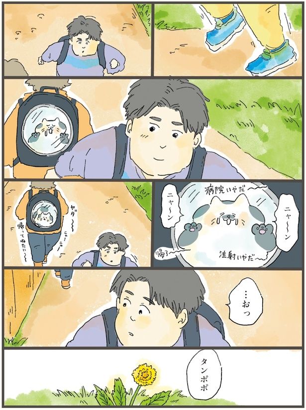 …おっタンポポ （C）中山有香里／KADOKAWA