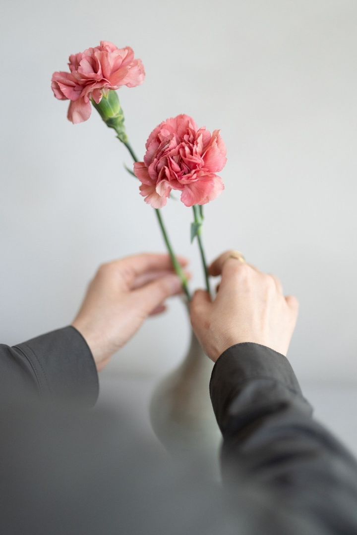 数輪のカーネーションをいけ、花びらの重なりを楽しんで