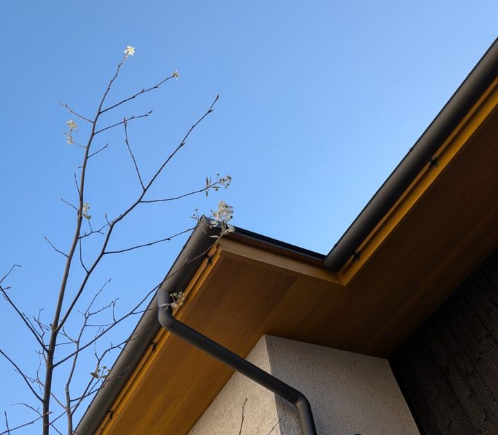 屋根とジューンベリーの花