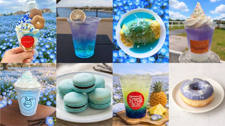 ネモフィラフード 販売期間：2026年4月17日(金)～5月17日(日)