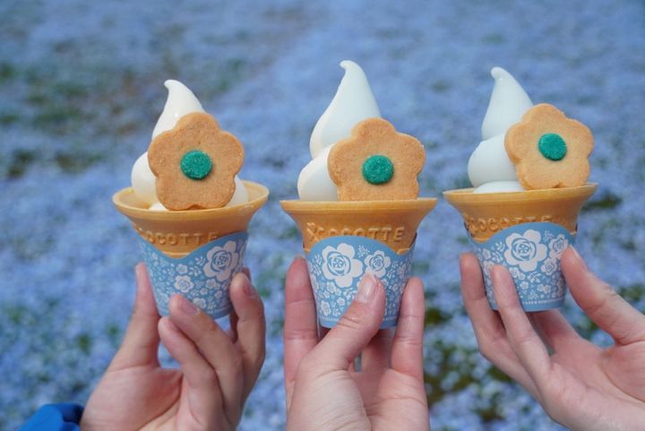 「ネモフィラブルーソフト」各550円