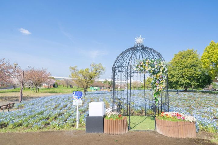 ネモフィラの青いじゅうたんを背景に、春の花々とともに特別な一枚を撮影できるドームパーゴラ型の撮影スポットです