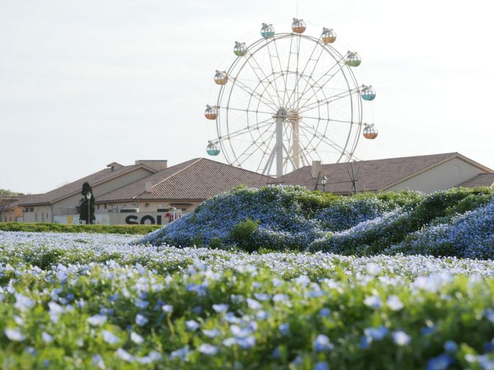 「フラワーガーデンイースト」2026年4月14日撮影