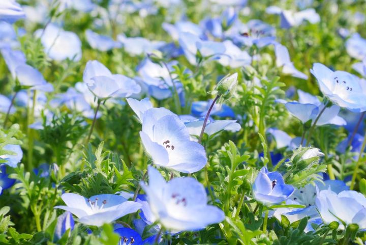 国営武蔵丘陵森林公園